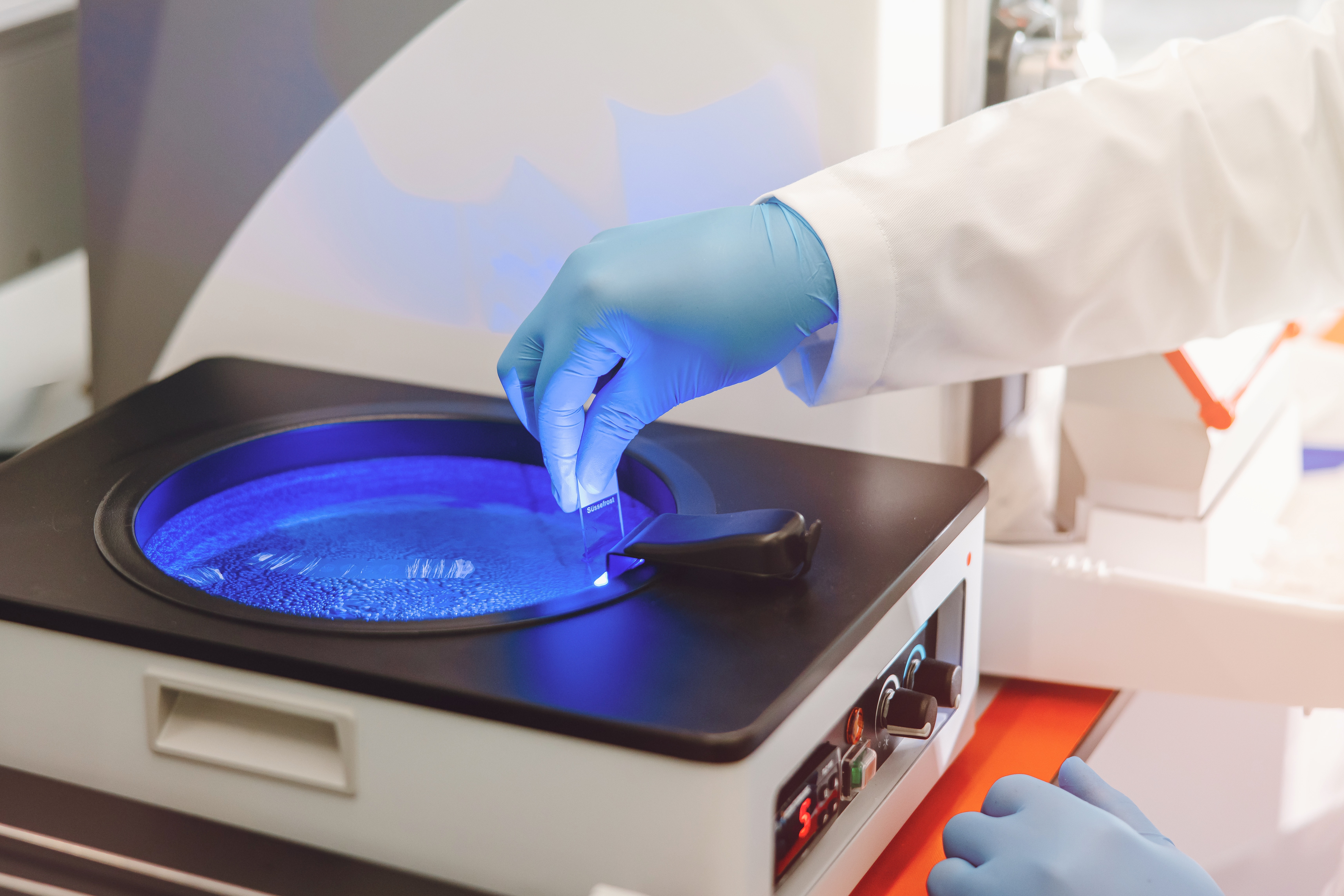 Specialist preparing a cord blood sample for processing in a laboratory
