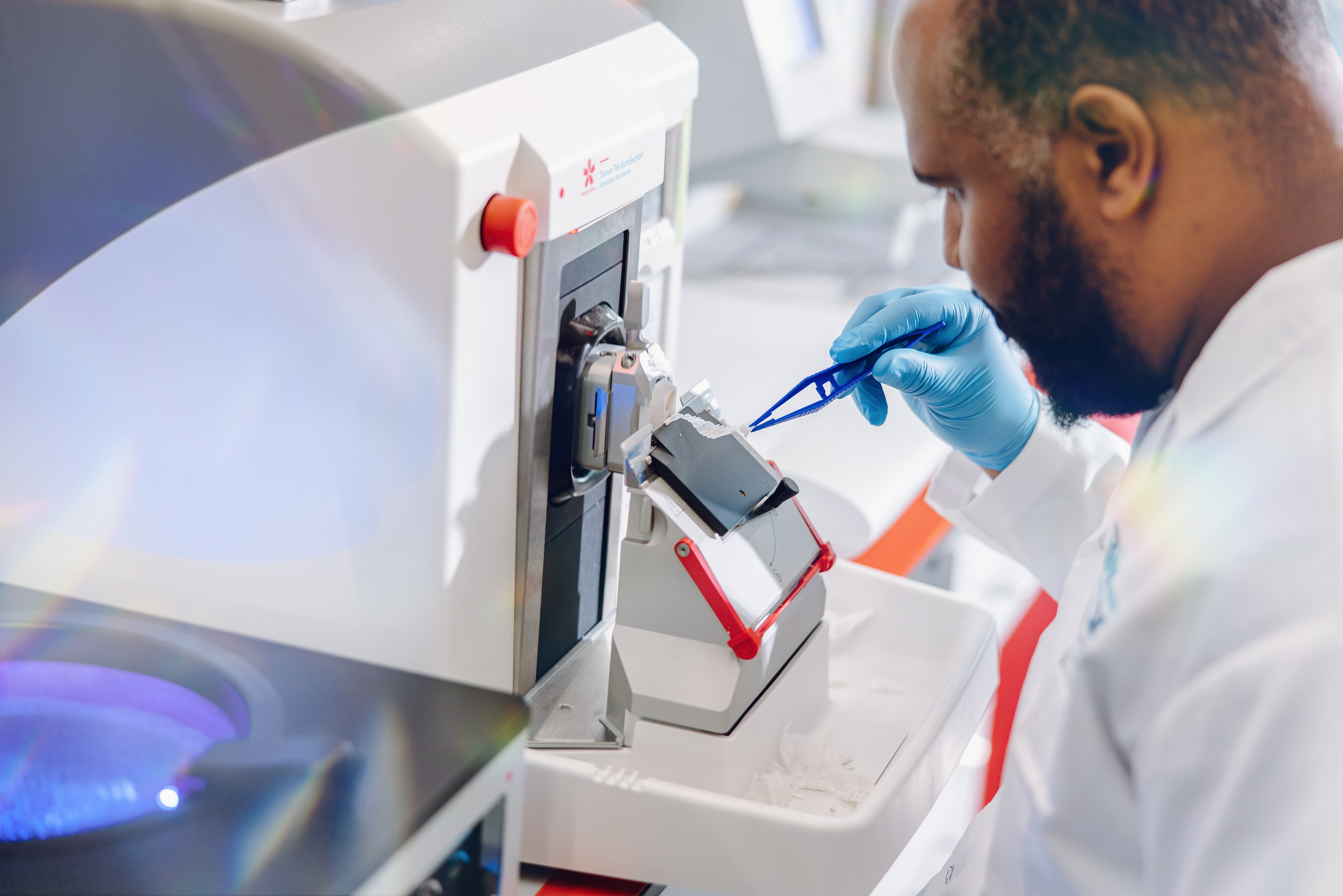 Laboratory technician preparing samples for cord blood banking